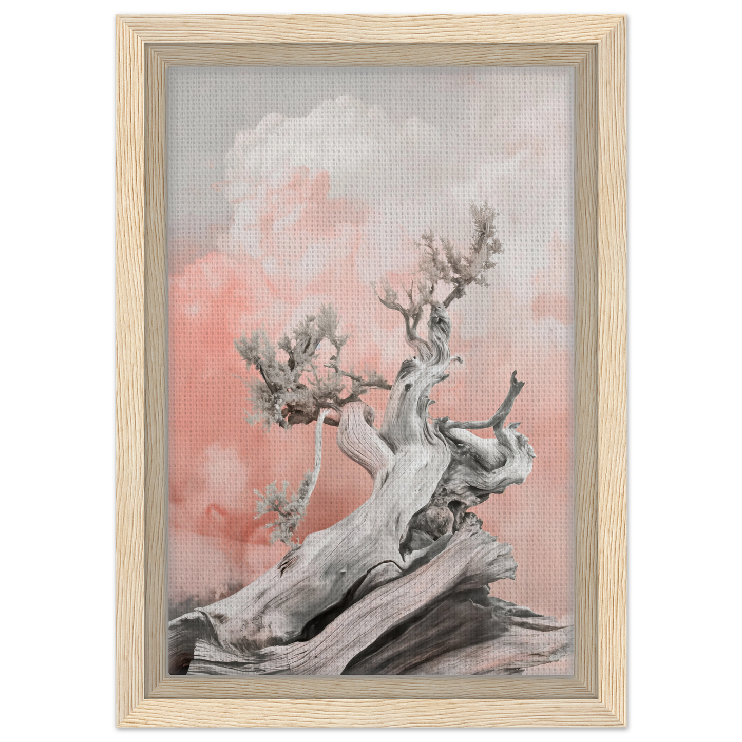 Gnarled tree branch with blossoms on a pink and gray background in Nature’s Twisted Serenity