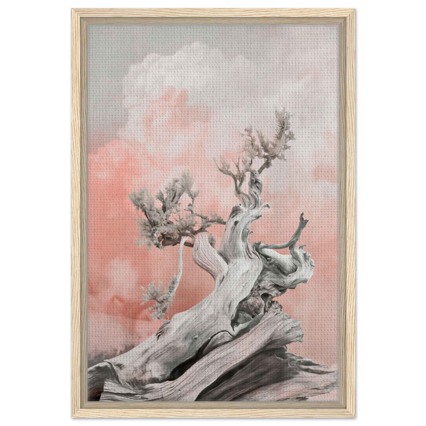 Gnarled driftwood against pink and gray clouds in Nature’s Twisted Serenity framed canvas print