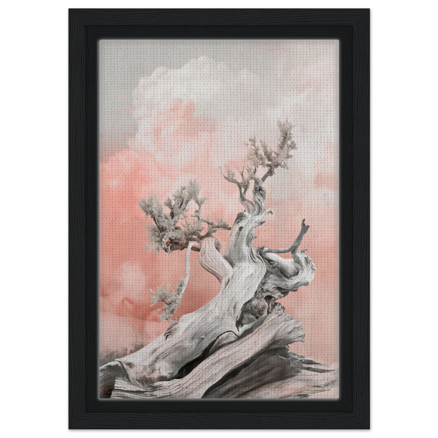 Gnarled tree branch against a soft pink and gray background for Nature’s Twisted Serenity