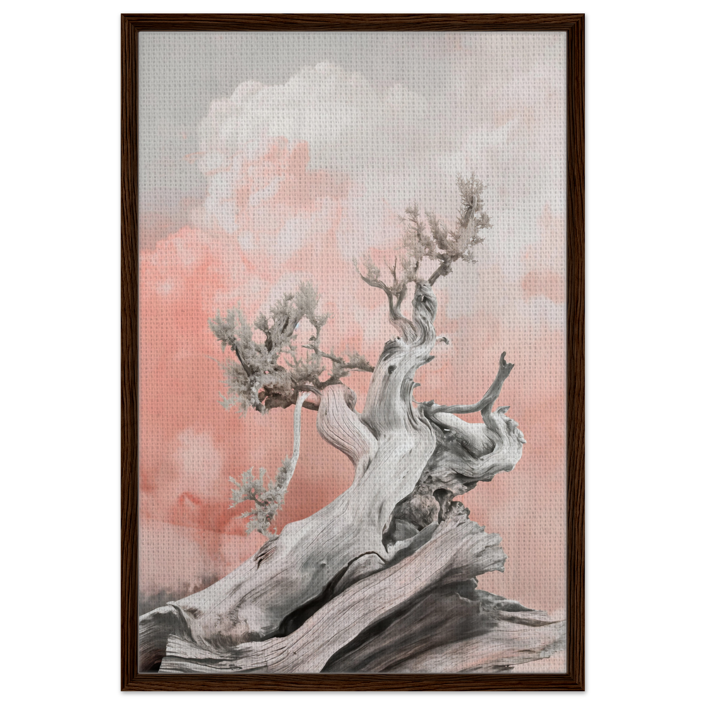 Gnarled tree trunk against a pink sky, perfect for Nature’s Twisted Serenity room decor