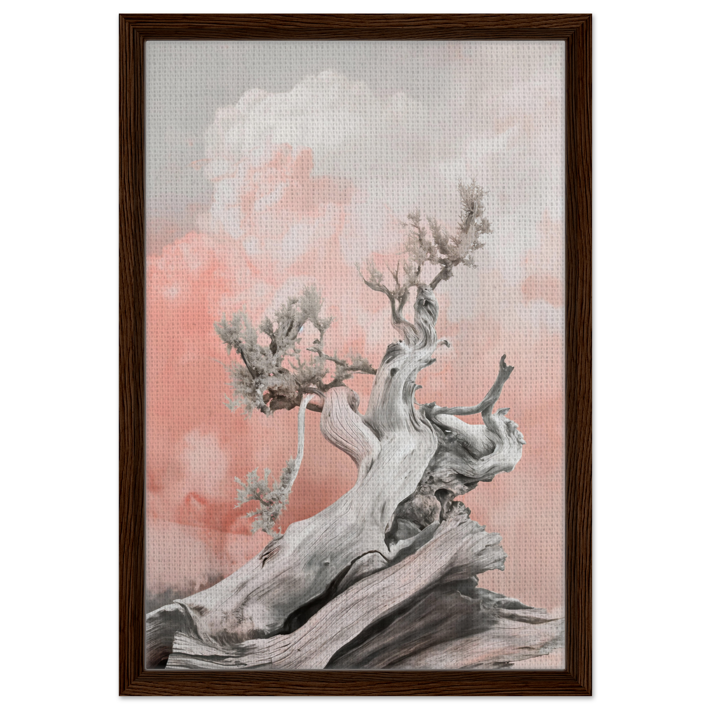 Gnarled tree trunk with sparse foliage in Nature’s Twisted Serenity framed canvas print