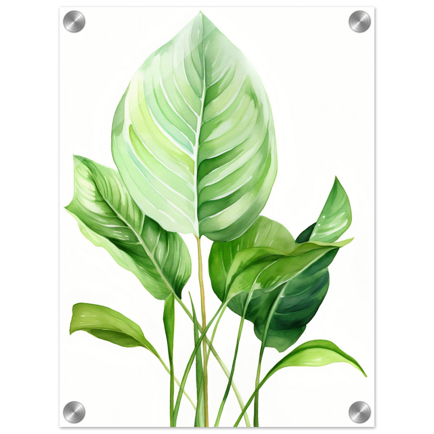 A painting of a green leaf
