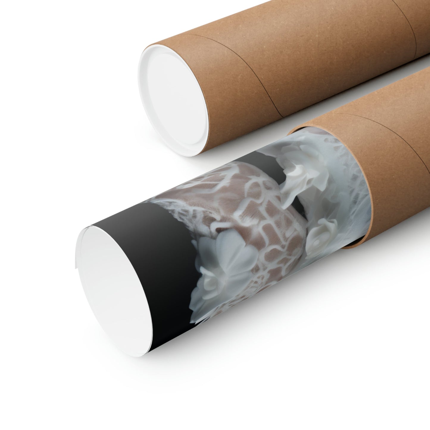 Two rolls of toilet paper with a black and white image