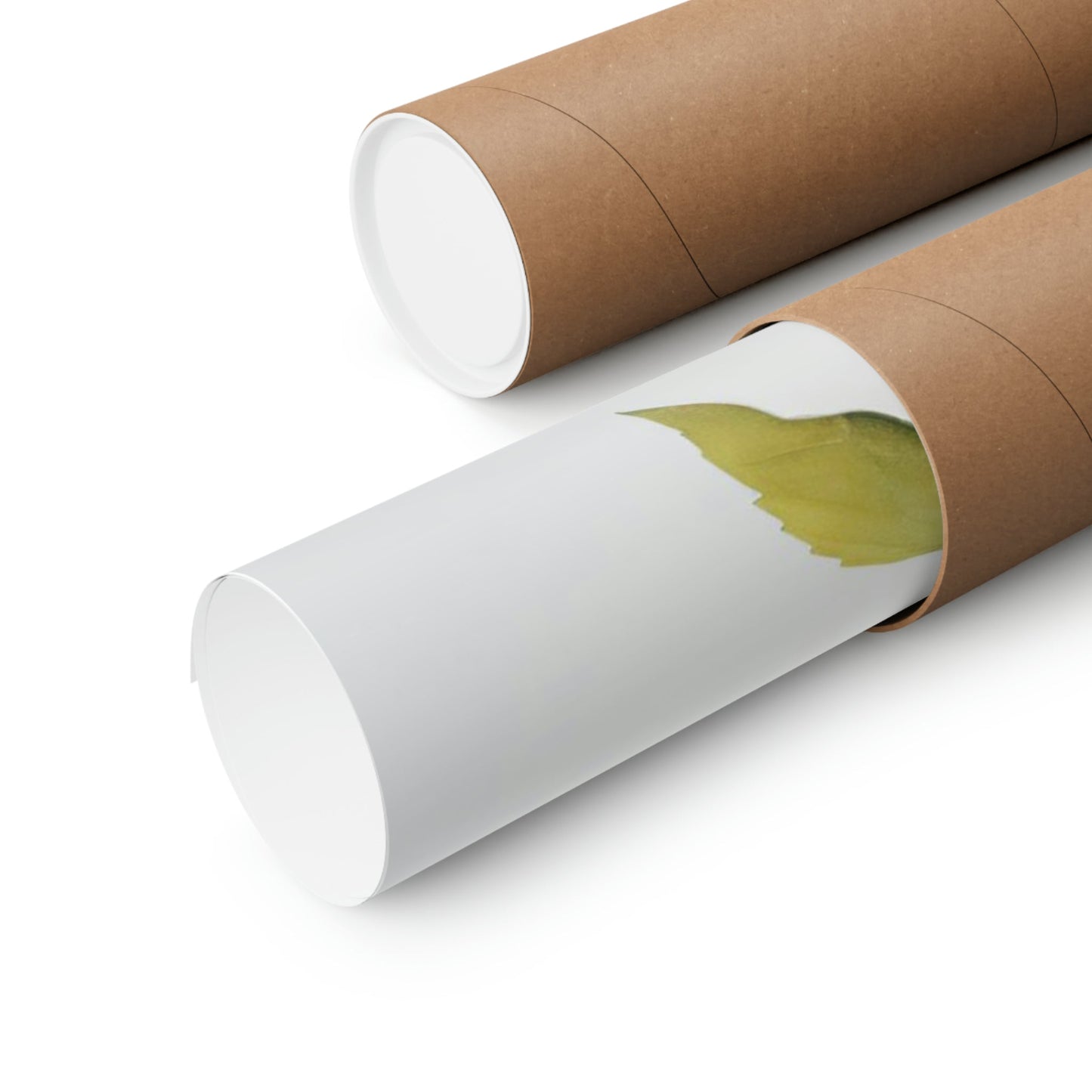 Two rolls of brown paper with green leaf on them