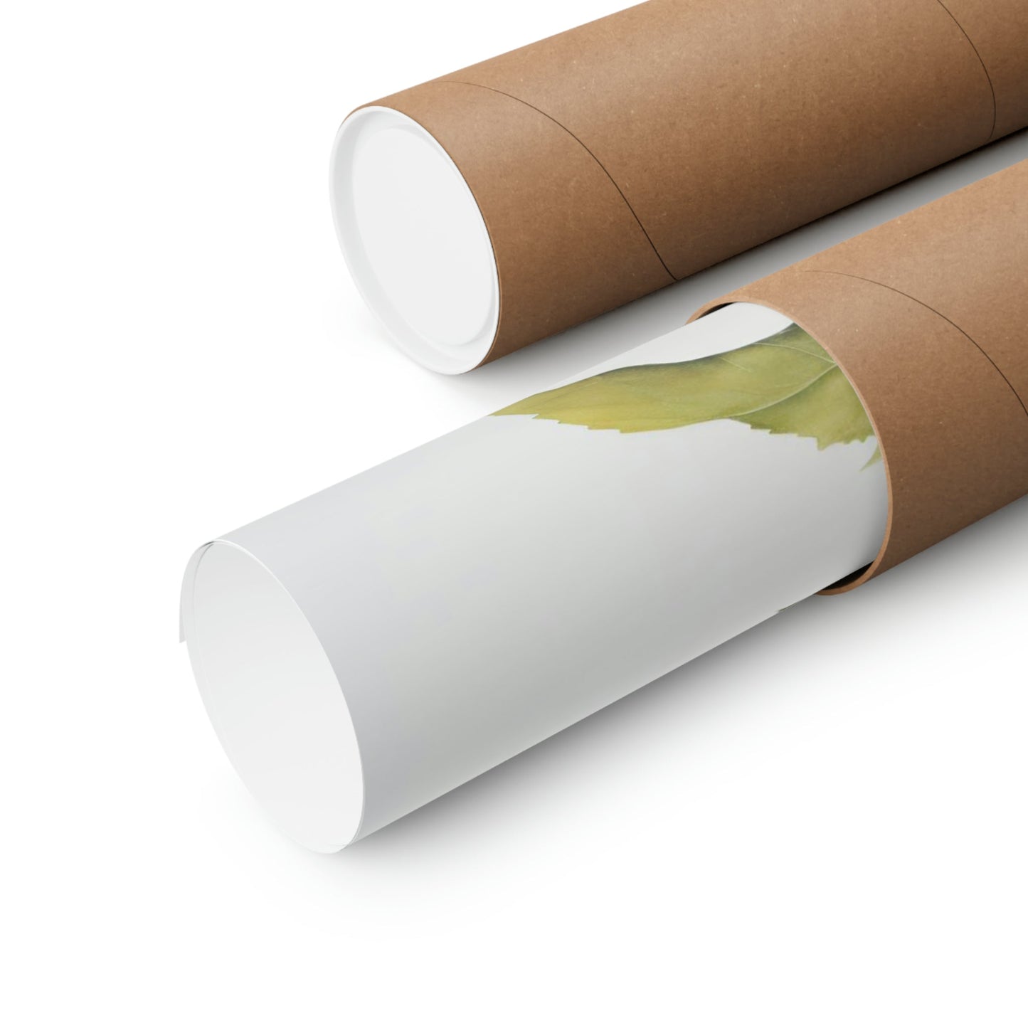 Two rolls of brown paper with green leaves on them