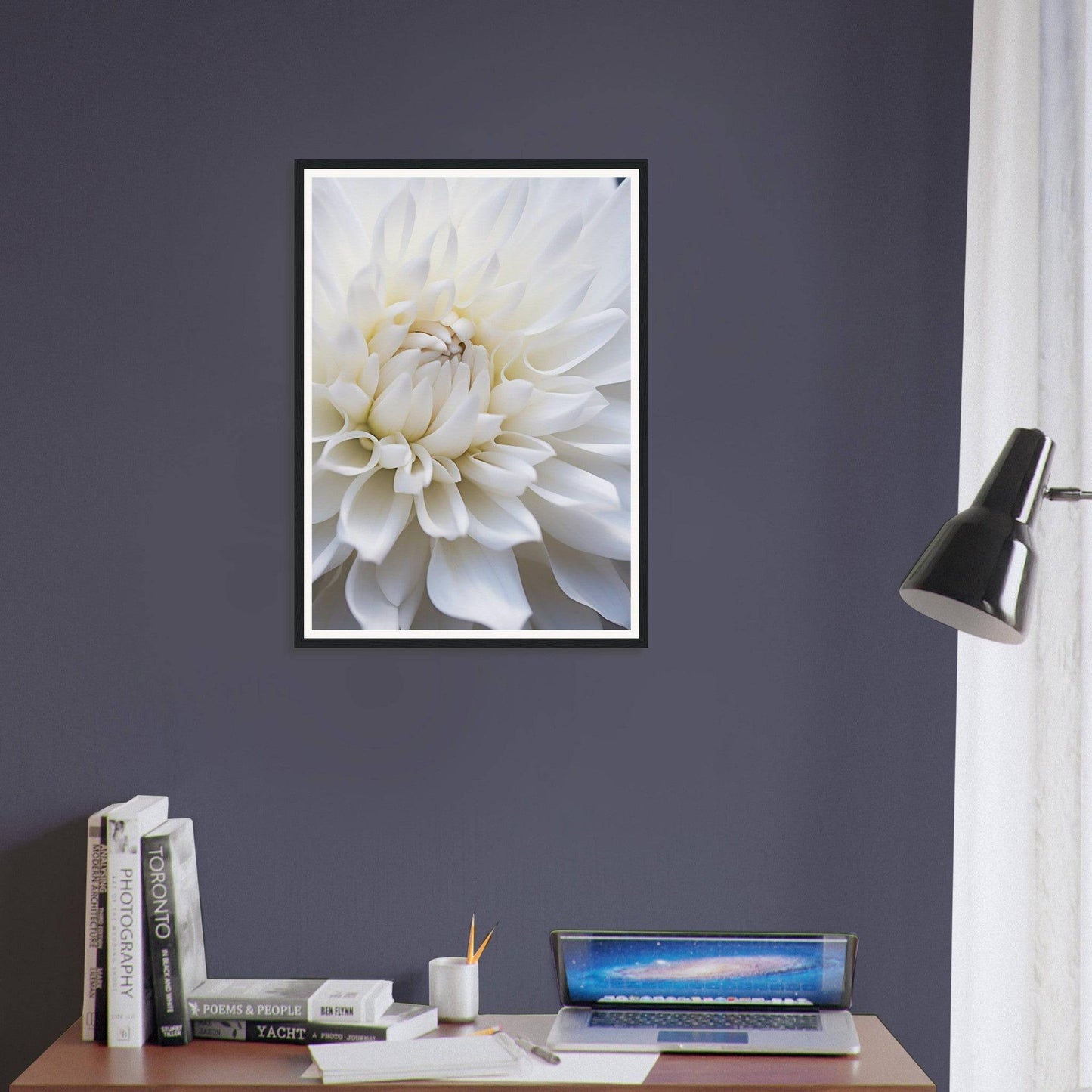 Close-up photograph of a white dahlia flower in full bloom.