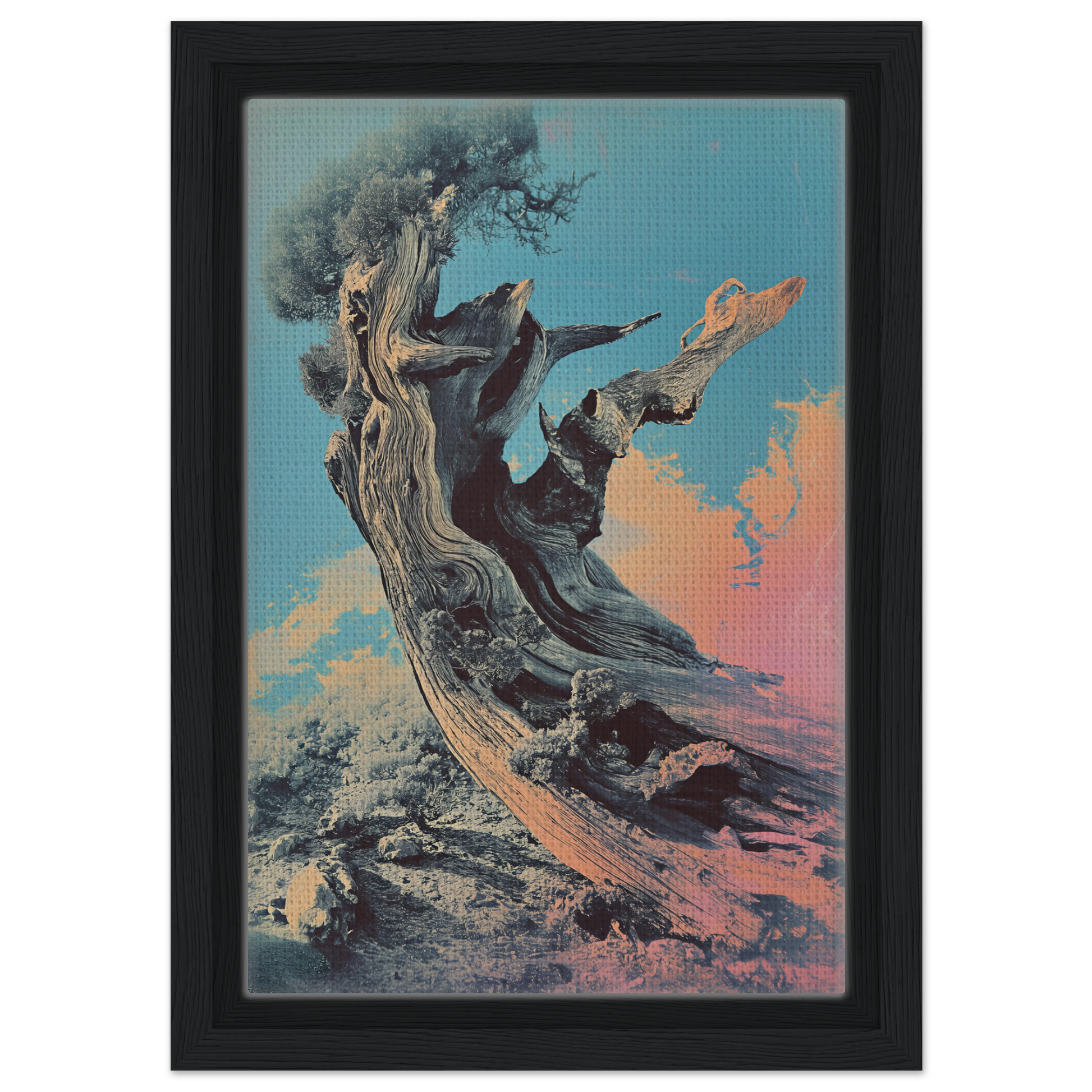 Gnarled tree trunk with bare branches against a colorful sky for Twisted Whisper Framed Canvas Print