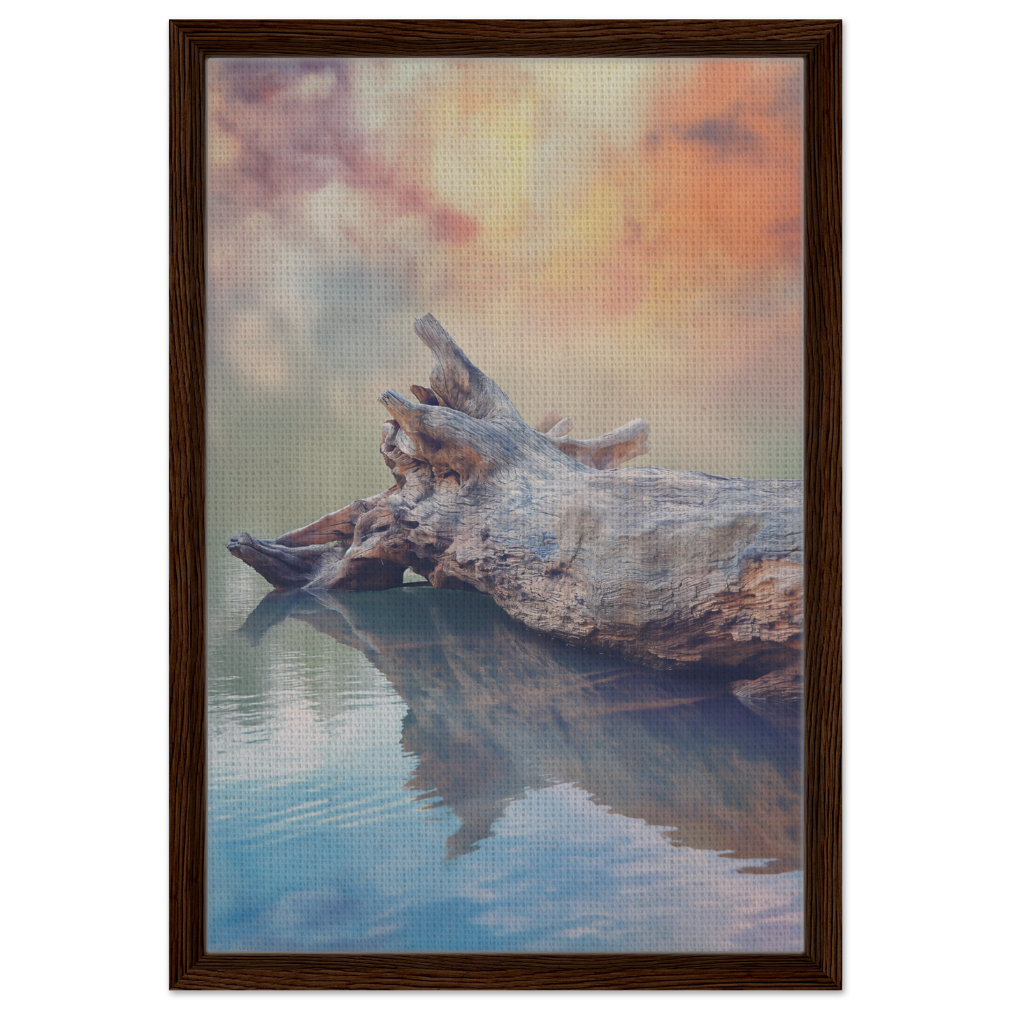 Driftwood log in calm water, reflecting serene log solitude framed aesthetic