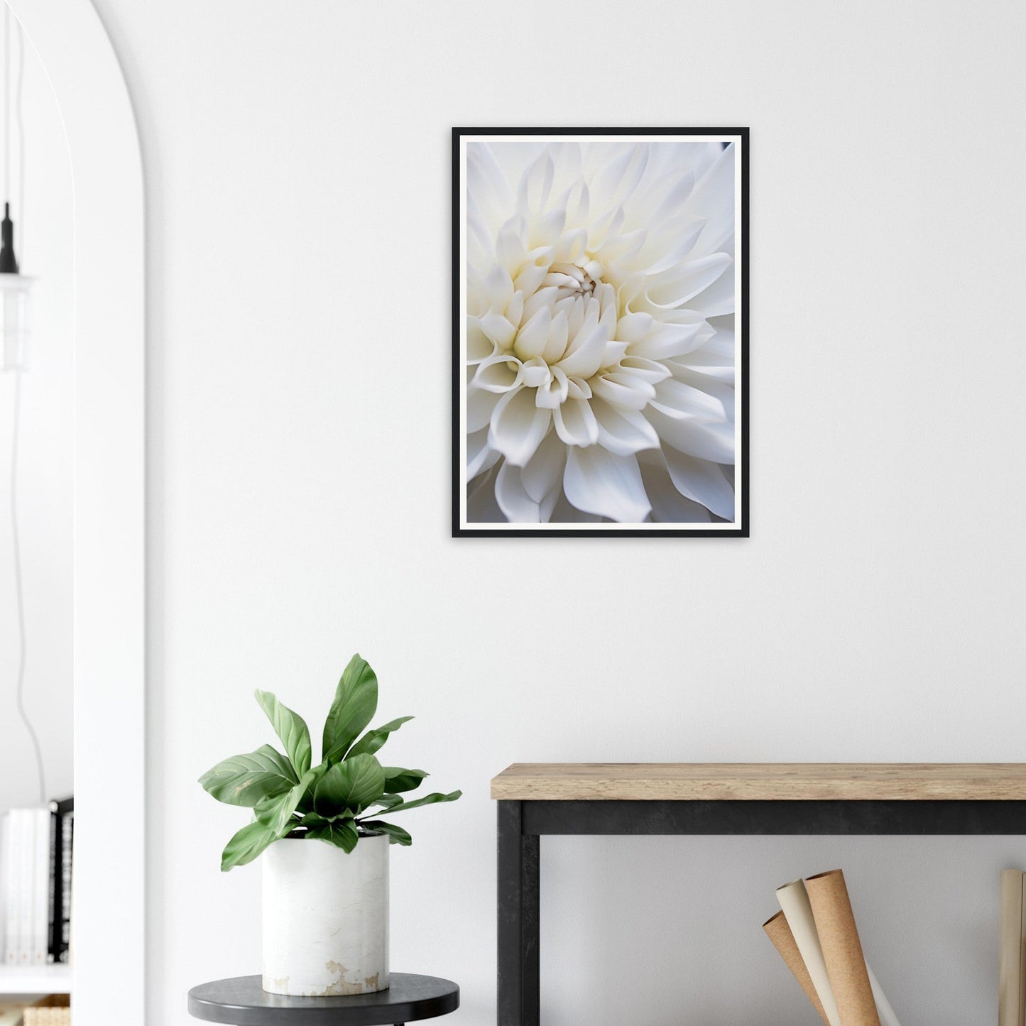 Framed photograph of a white dahlia flower in close-up.
