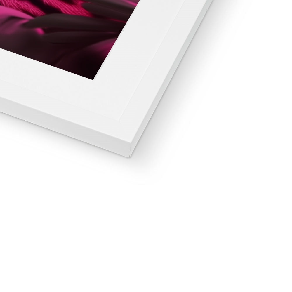 A white frame with a pink flower on it