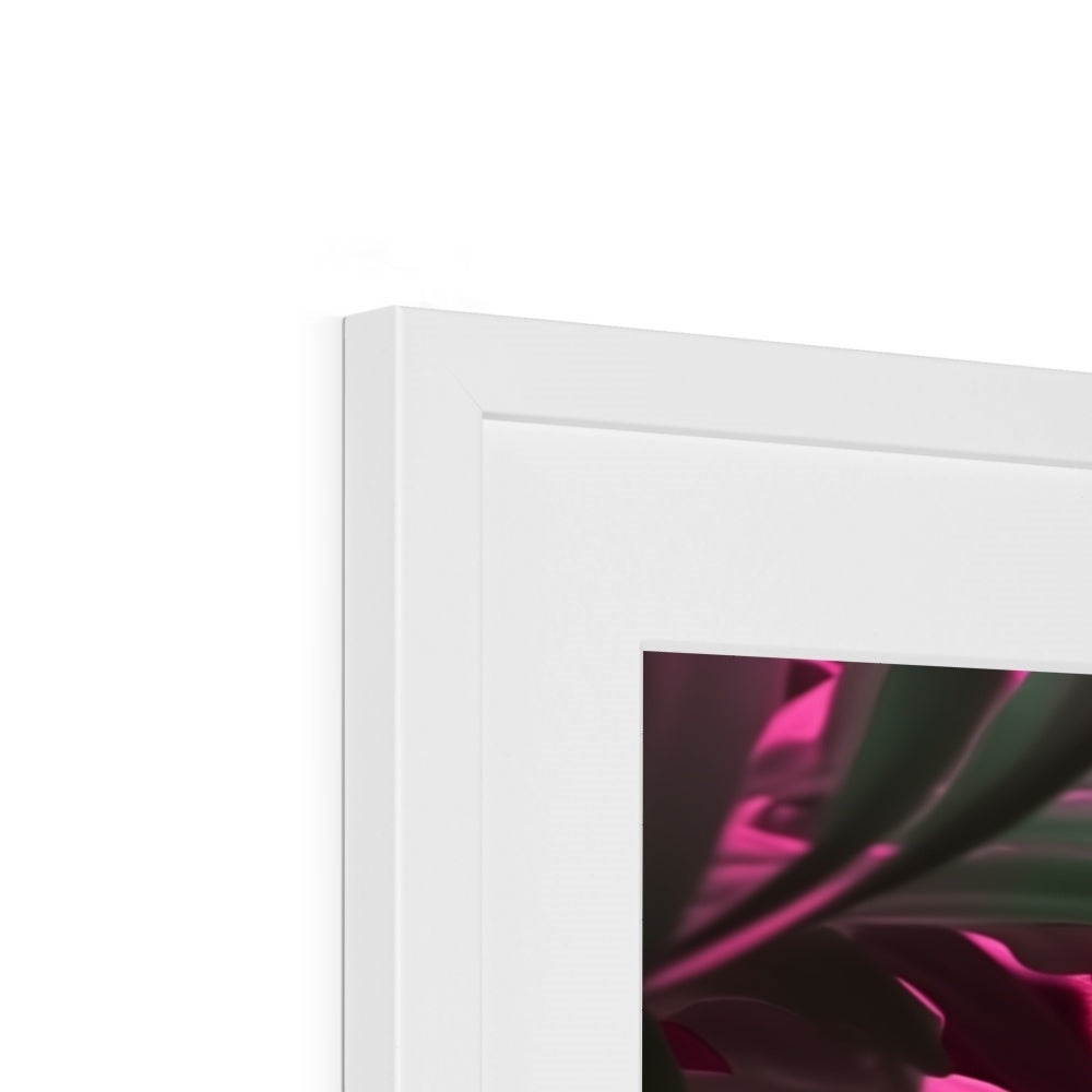 A white frame with a pink flower in it
