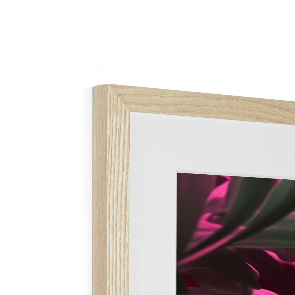 A white frame with a pink flower in the middle