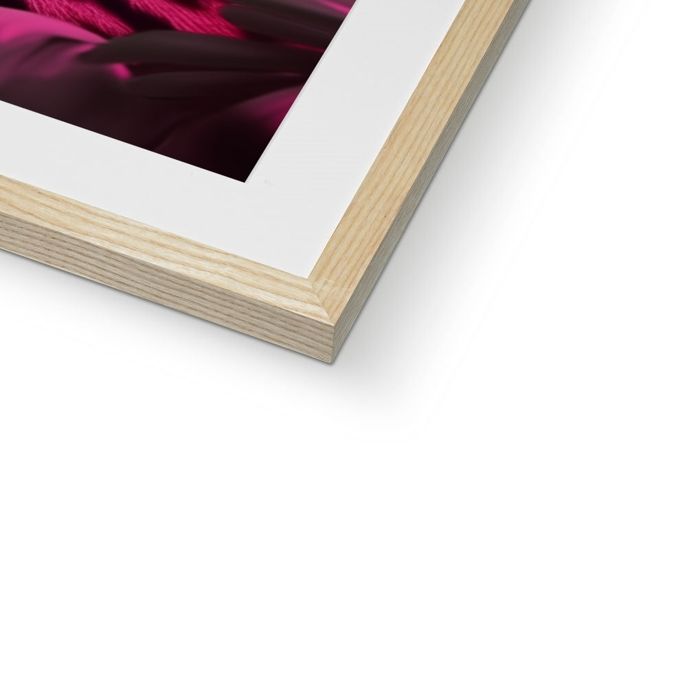 A white frame with a pink flower on it