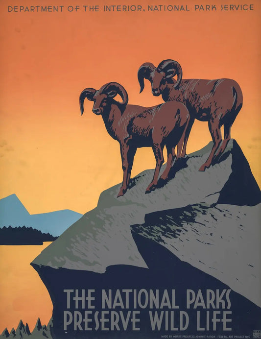 Posters: The Ultimate Way to Showcase Your Unforgettable Travel Memories