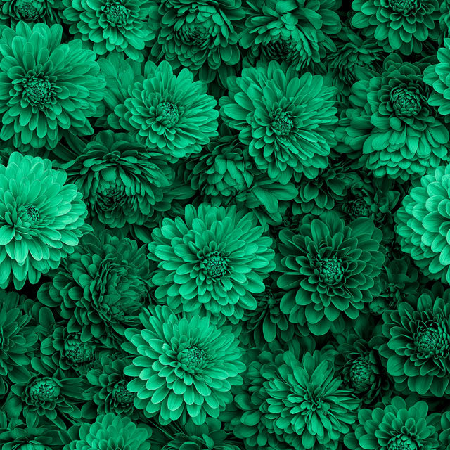 green wall art collection - green flower photography