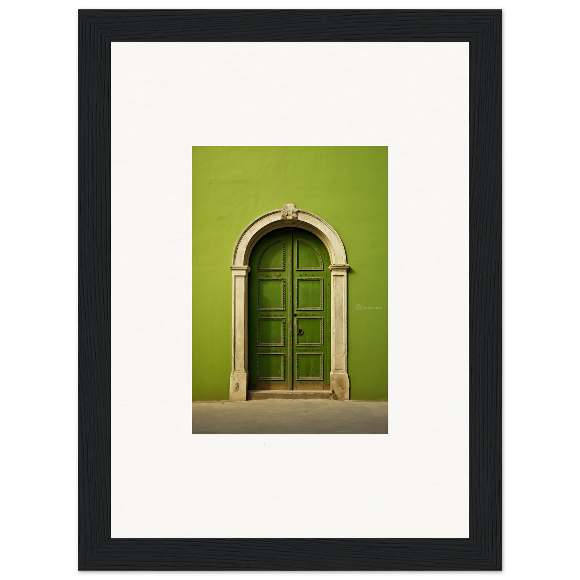 Green arched door with stone trim in the Vert Barcode Reverie special edition art™