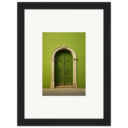 Green arched door with stone trim in the Vert Barcode Reverie special edition art™