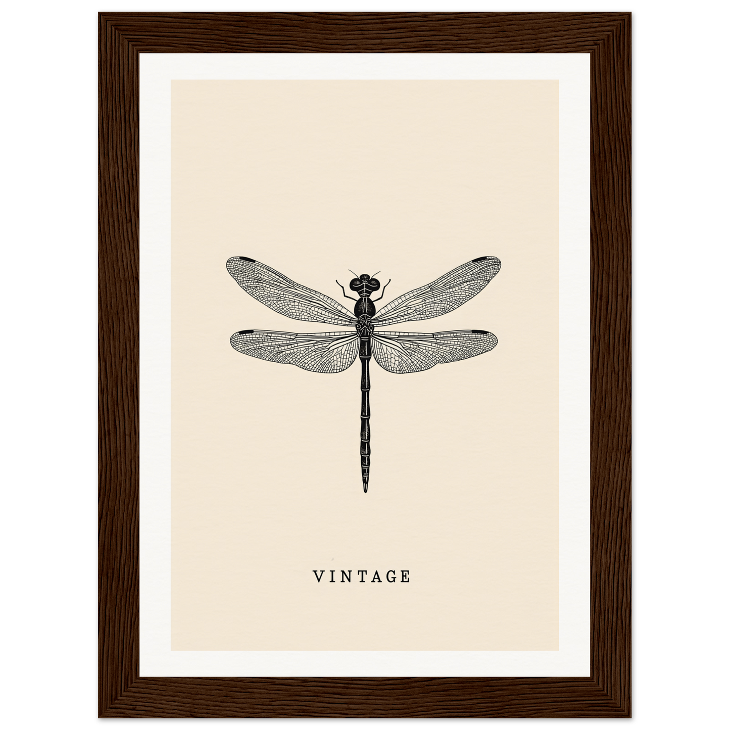 Vintage dragonfly wall art with brown frame, perfect for stylish home decor and cool room decor.