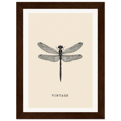 Vintage dragonfly wall art with brown frame, perfect for stylish home decor and cool room decor.