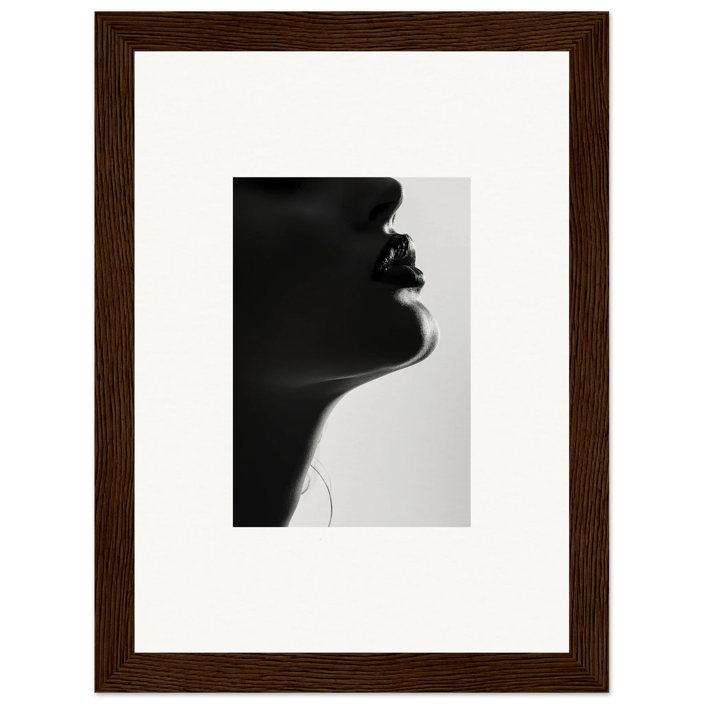 Black and white silhouette art from Shadowed Whisper Immanence framed wall art collection