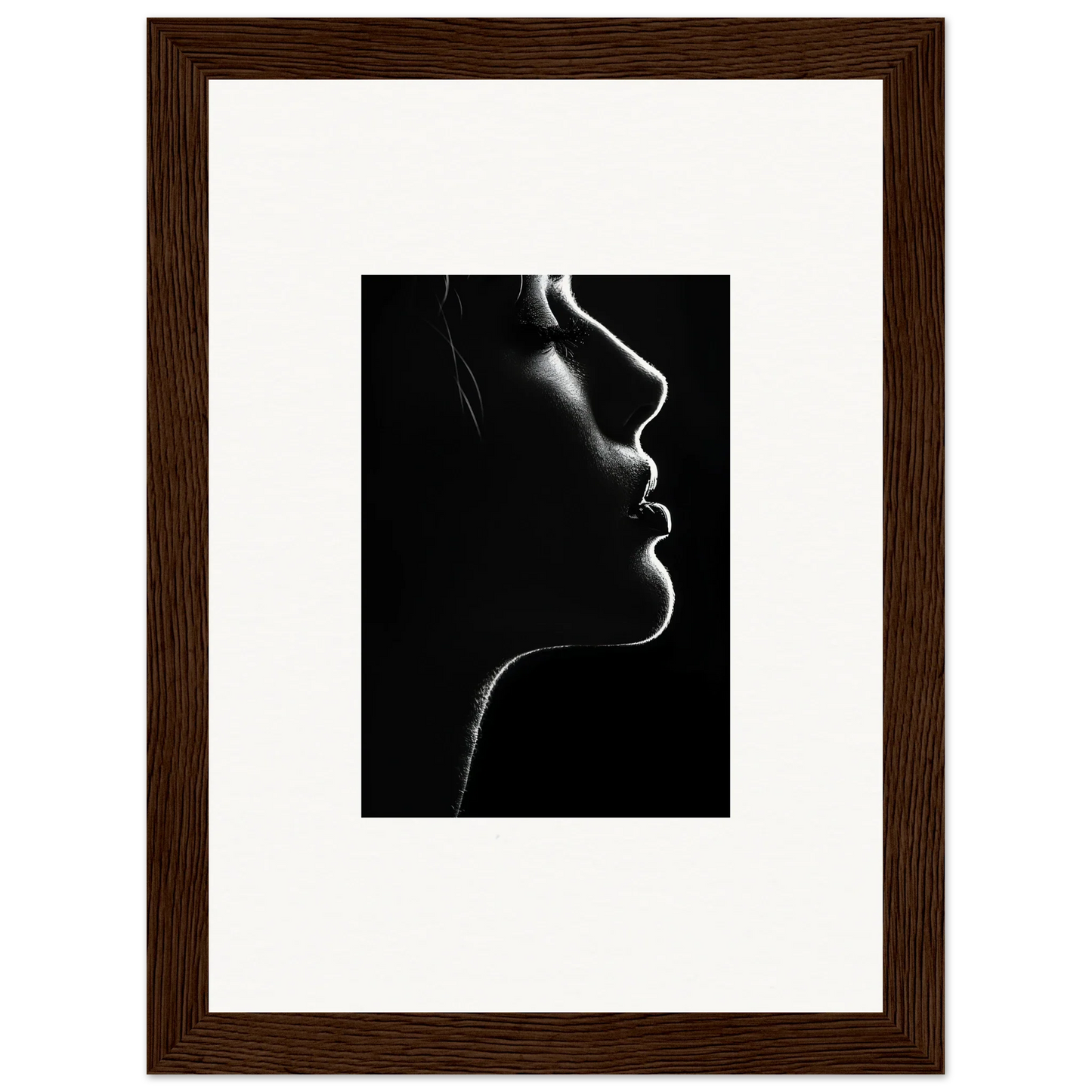 Dramatic black and white profile silhouette in Velvet Void Sensation framed wall art