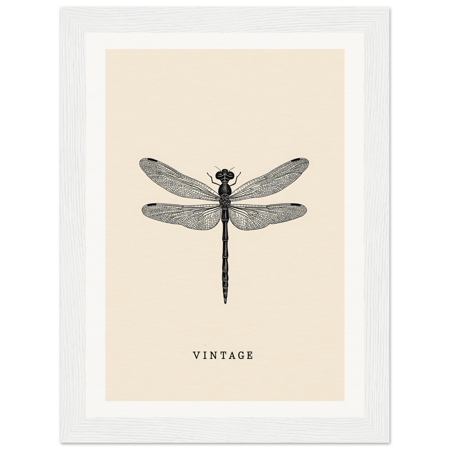 Vintage dragonfly framed wall art, perfect for stylish room decor and home decor enthusiasts seeking cool room decorations.