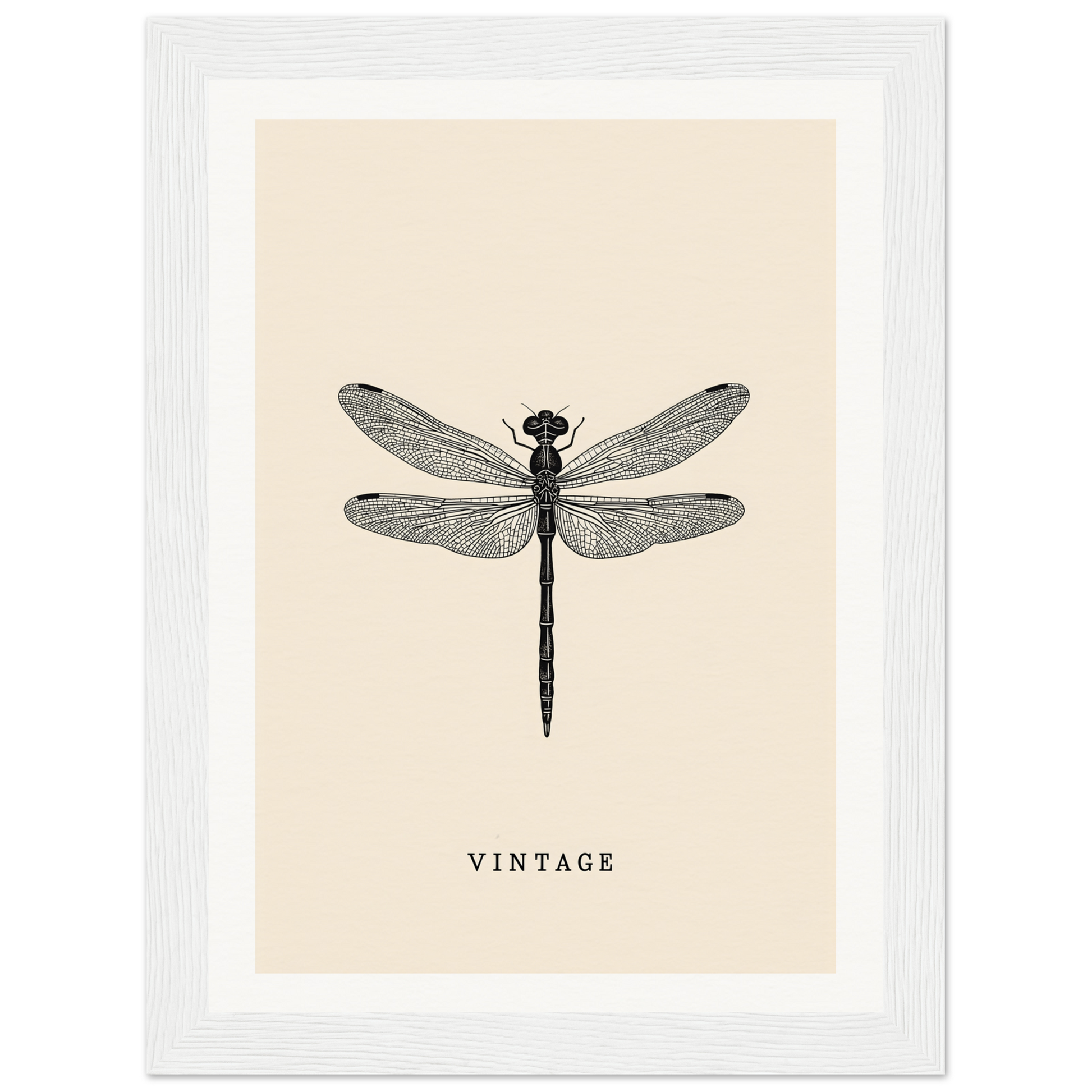 Vintage dragonfly framed wall art, perfect for stylish room decor and home decor enthusiasts seeking cool room decorations.