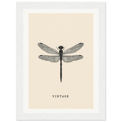 Vintage dragonfly framed wall art, perfect for stylish room decor and home decor enthusiasts seeking cool room decorations.