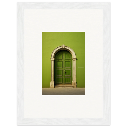 Arched green wooden door with stone frame from Vert Barcode Reverie special edition art™