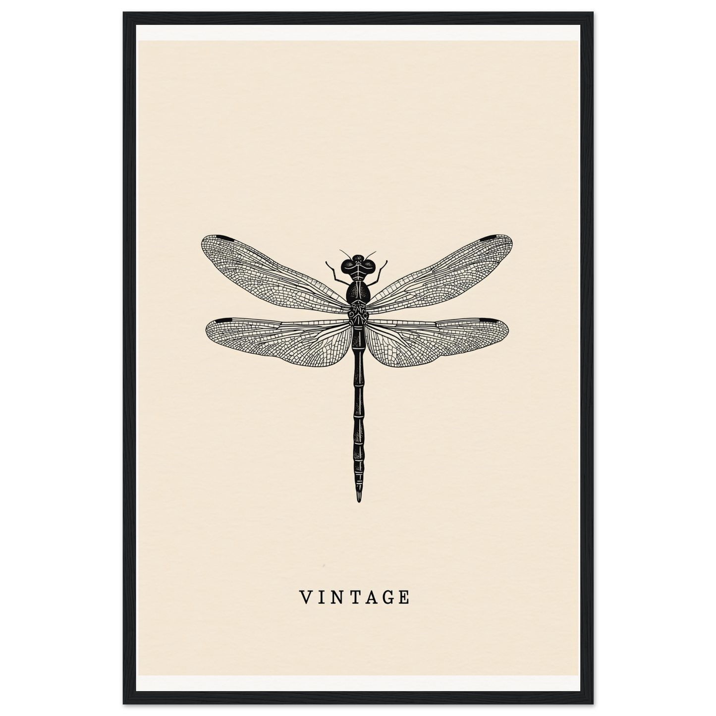 Vintage dragonfly framed wall art, black print on beige, perfect for home decor and cool room style.