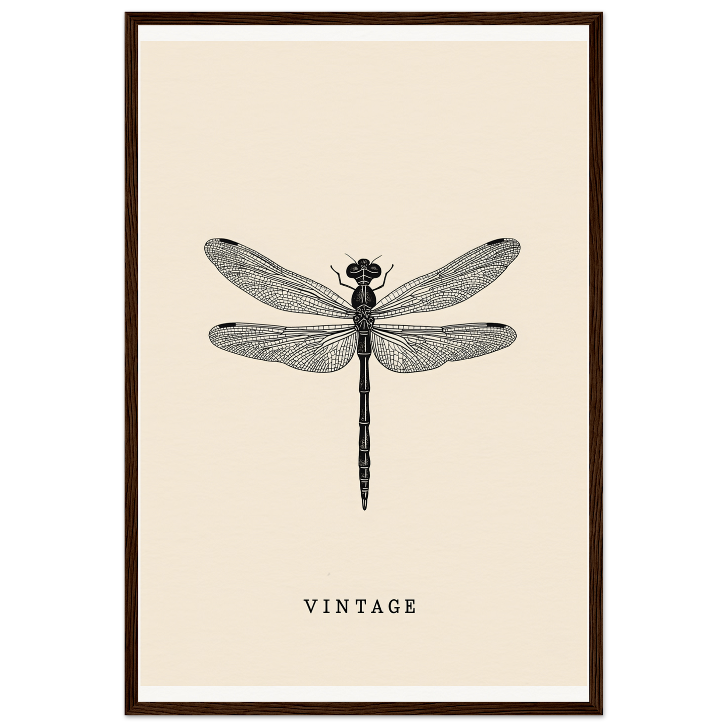 Vintage dragonfly framed wall art, elegant home decor piece for stylish rooms, featuring intricate wing design.