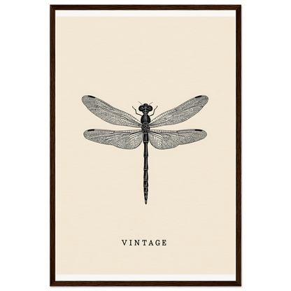 Vintage dragonfly framed wall art, elegant home decor piece for stylish rooms, featuring intricate wing design.