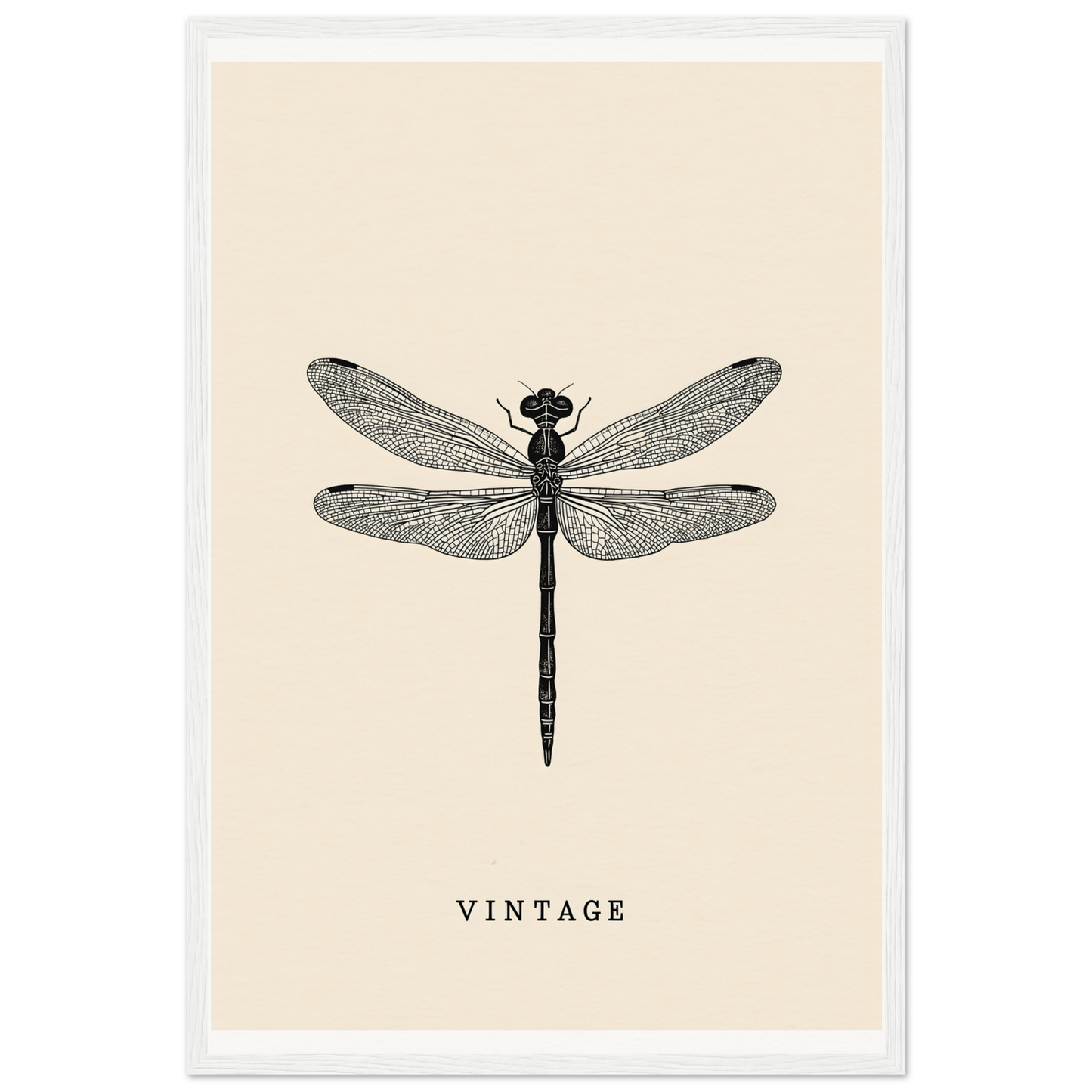 Vintage dragonfly framed wall art, perfect for home decor and cool room style, embracing elegance with a timeless nature design.