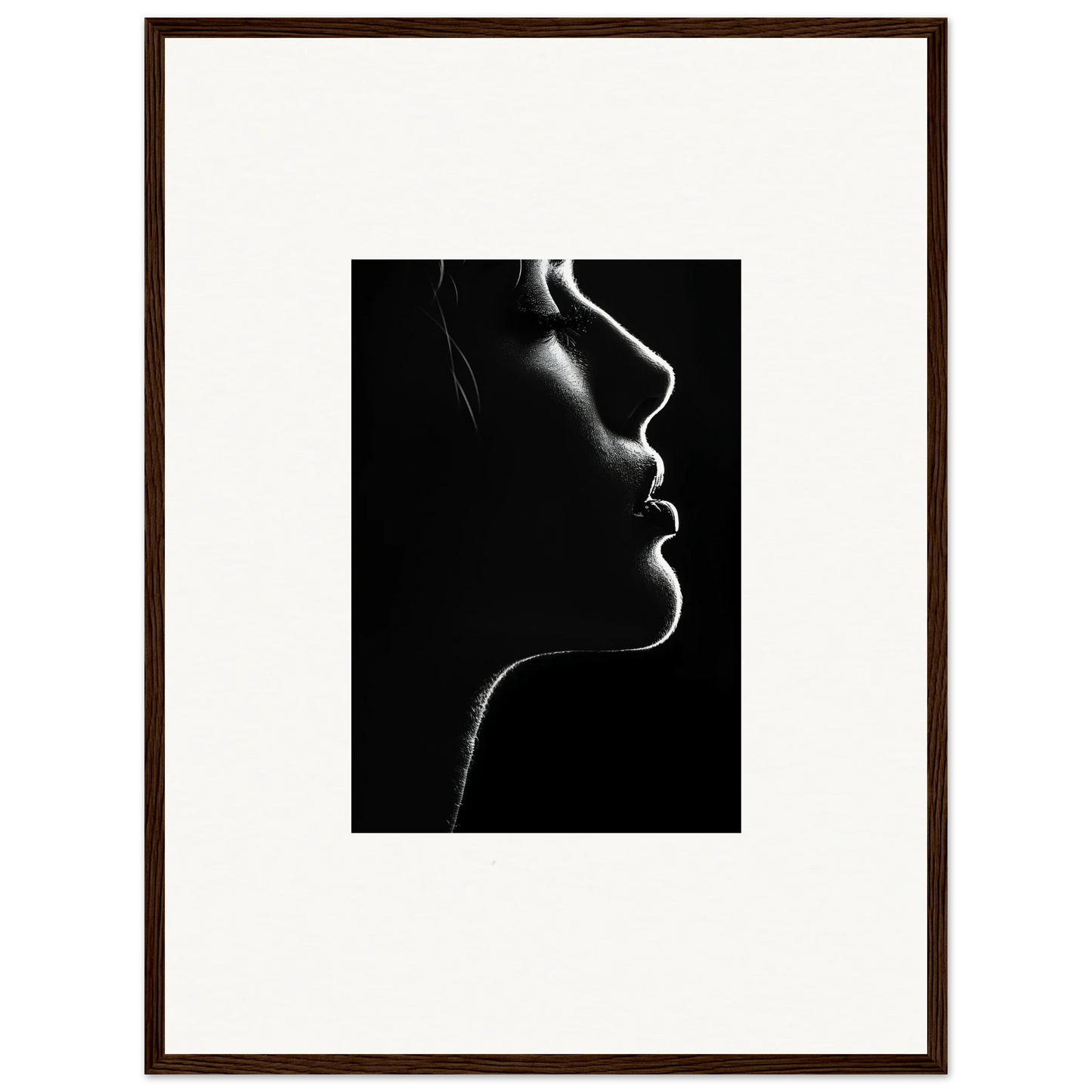 Dramatic black and white profile silhouette in Velvet Void Sensation framed wall art