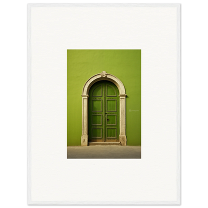 Arched green wooden door with stone trim in Vert Barcode Reverie special edition art™