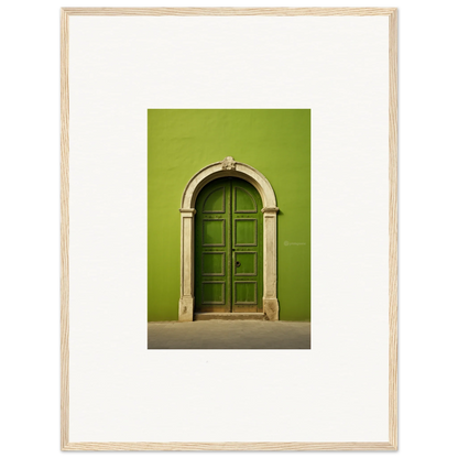 Arched green wooden door with stone trim in Vert Barcode Reverie special edition art™