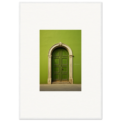 Arched green wooden door with stone trim for Vert Barcode Reverie special edition art™