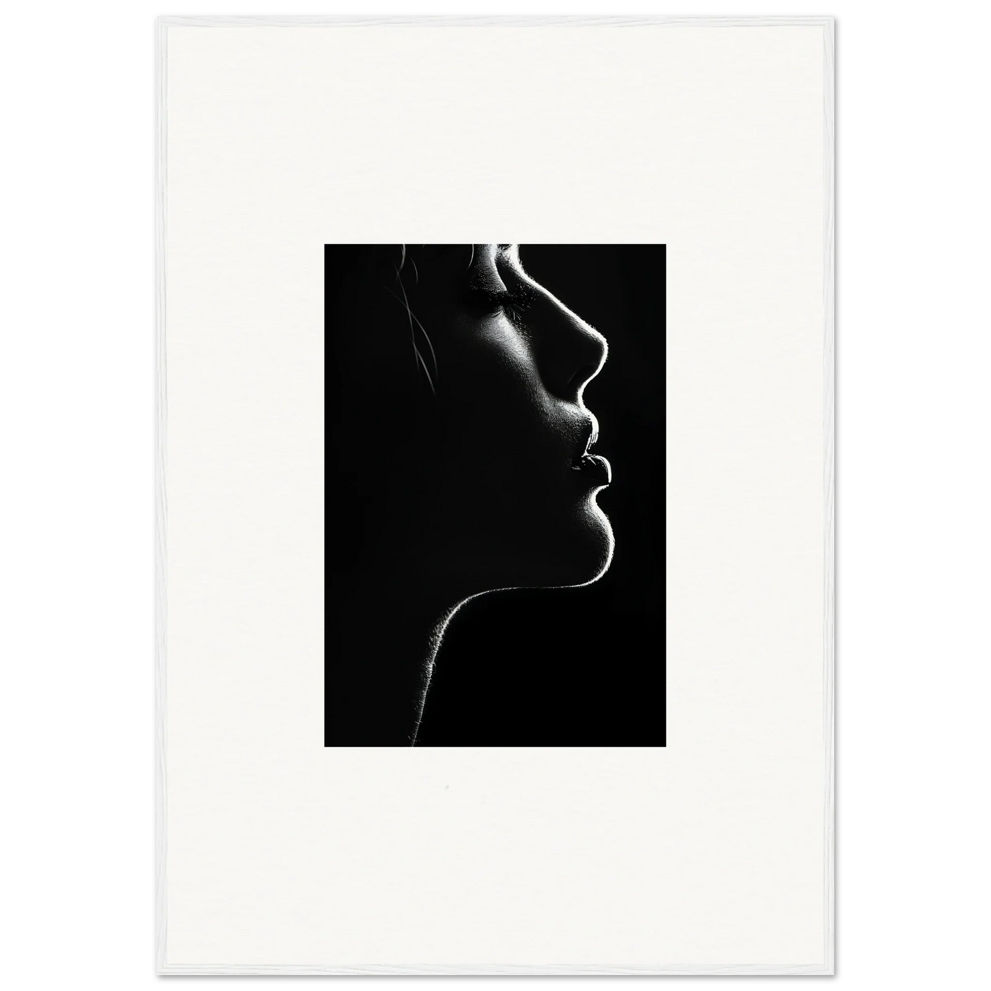 Dramatic black and white silhouette with smoke, part of Velvet Void Sensation art