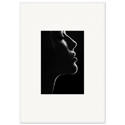 Dramatic black and white silhouette with smoke, part of Velvet Void Sensation art