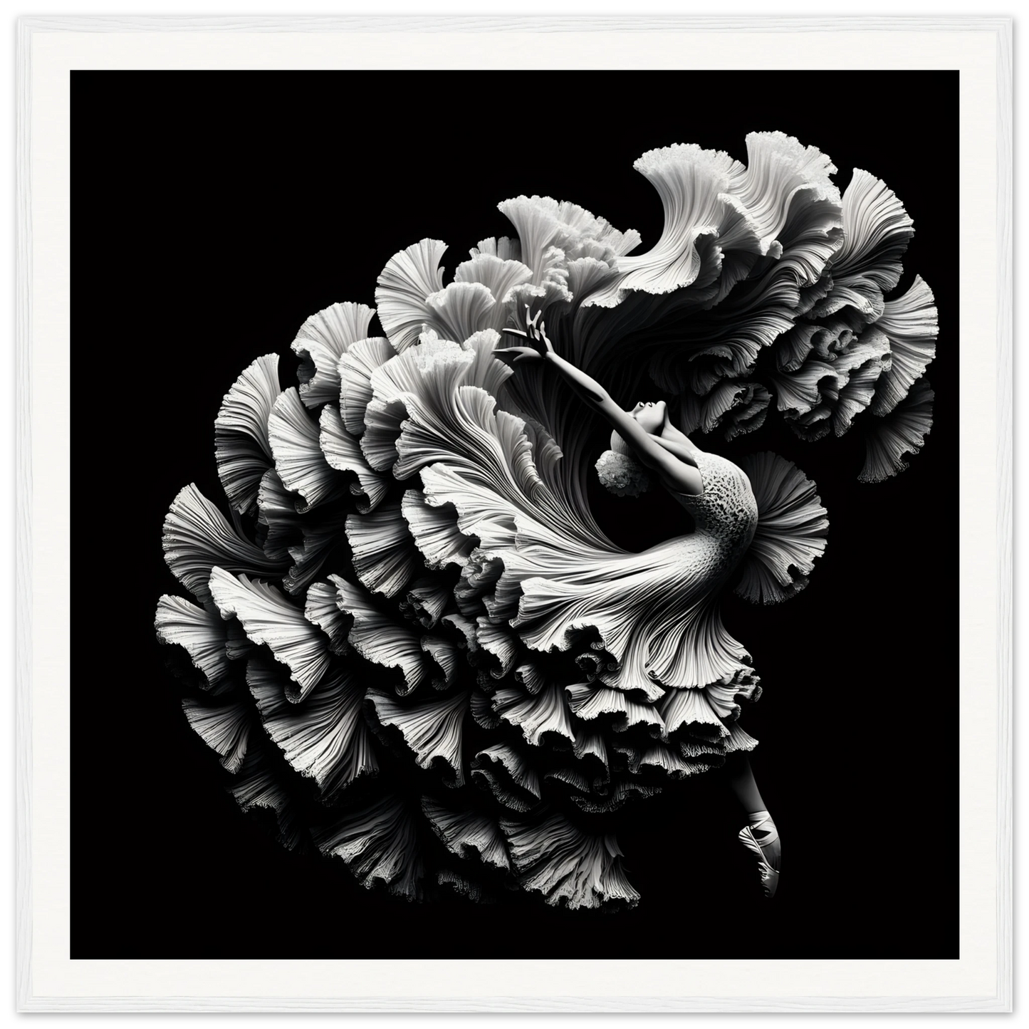 Ruffled carnation flower in black and white art for Alchemy in Motion framed posters