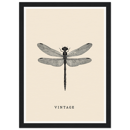 Vintage dragonfly framed wall art; elegant black frame; perfect wall, room, or home decor; adds cool style to any space.