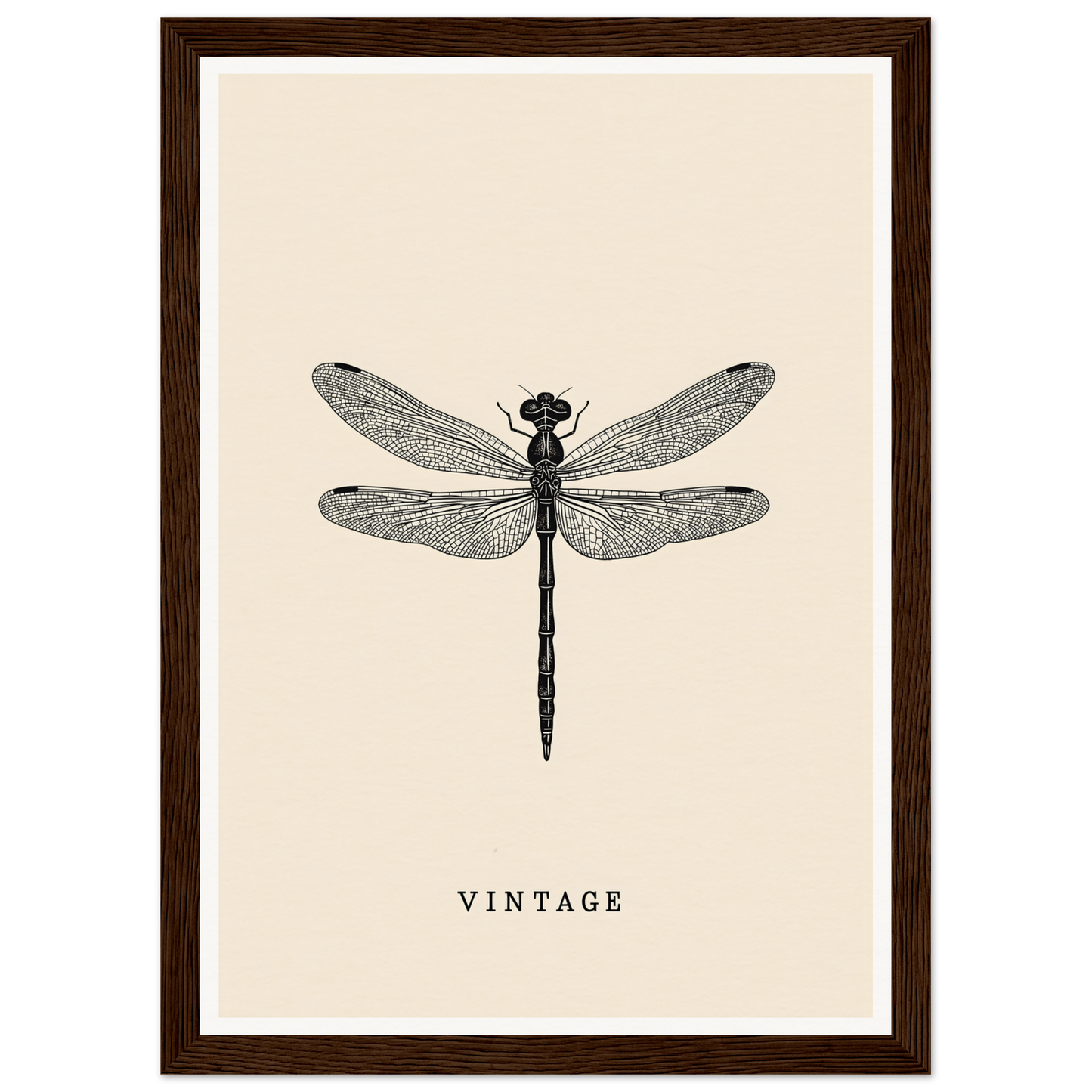 Vintage dragonfly framed wall art, perfect for home and room decor, showcasing timeless elegance and cool style.