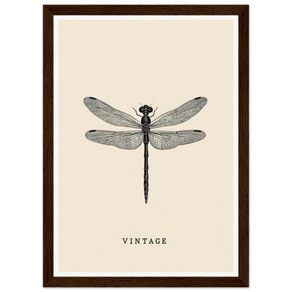 Vintage dragonfly framed wall art, perfect for home and room decor, showcasing timeless elegance and cool style.