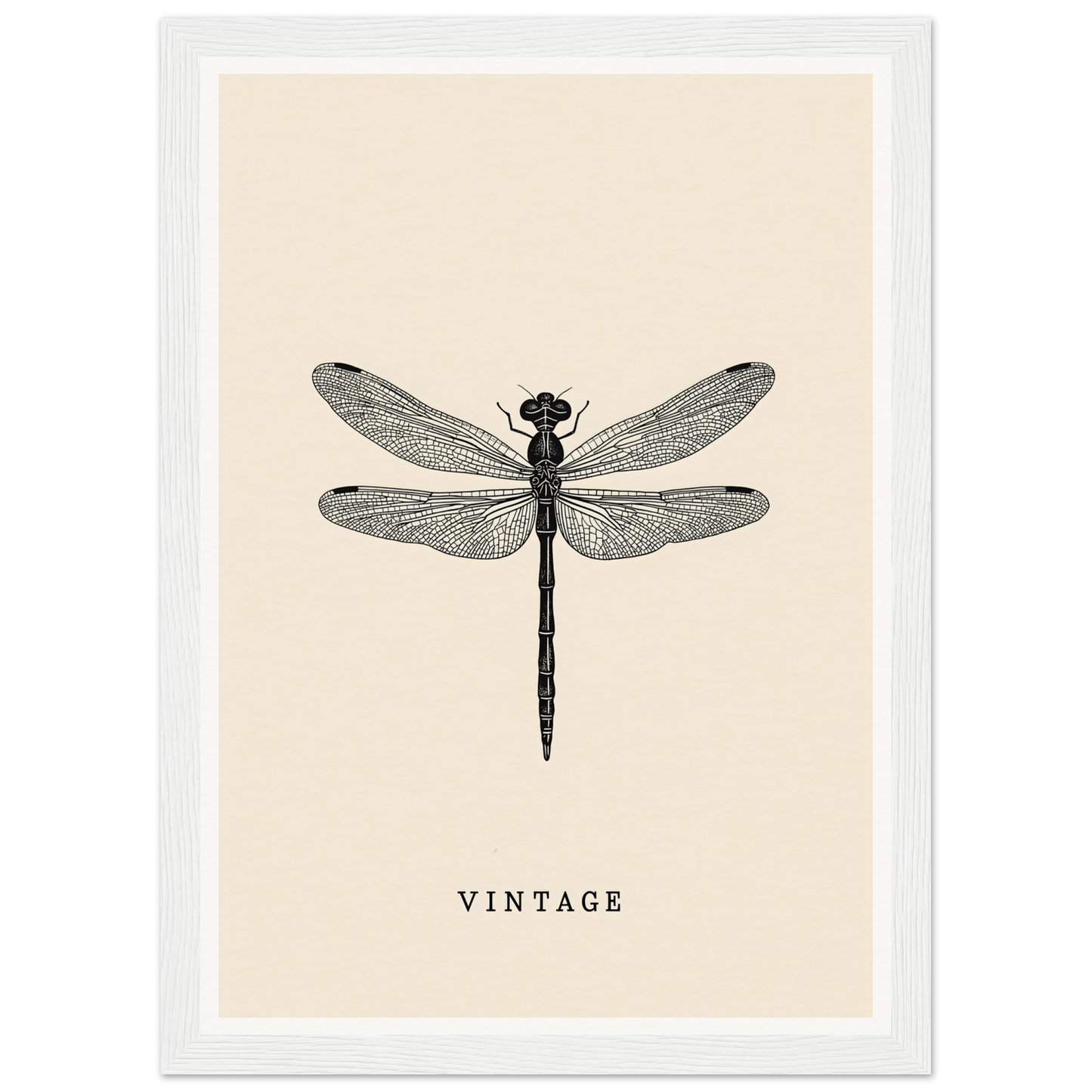 Vintage dragonfly framed wall art, perfect for stylish home and room decor, crafted with elegant simplicity.