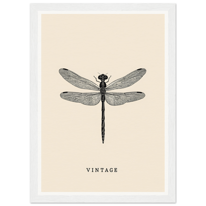 Vintage dragonfly framed wall art, perfect for stylish home and room decor, crafted with elegant simplicity.