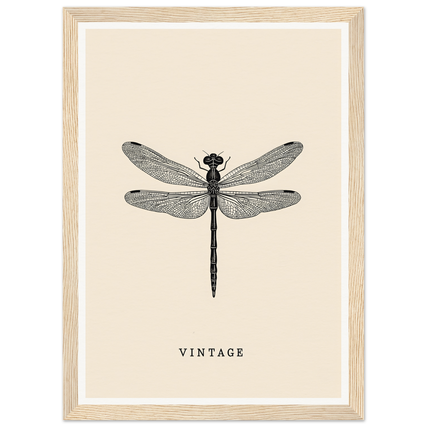 Vintage dragonfly framed wall art for stylish home decor, perfect cool room decor piece blending art and nature.