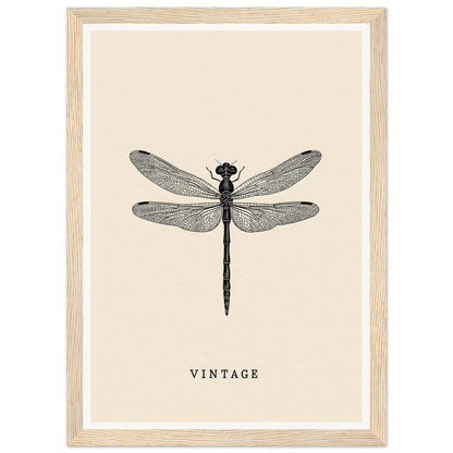 Vintage dragonfly framed wall art for stylish home decor, perfect cool room decor piece blending art and nature.