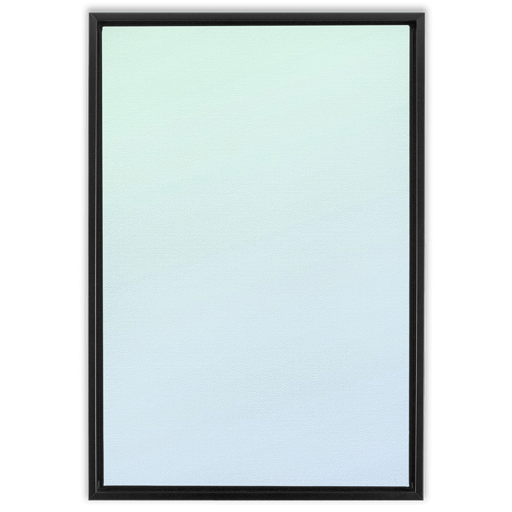 Rectangular framed mirror with a black border.