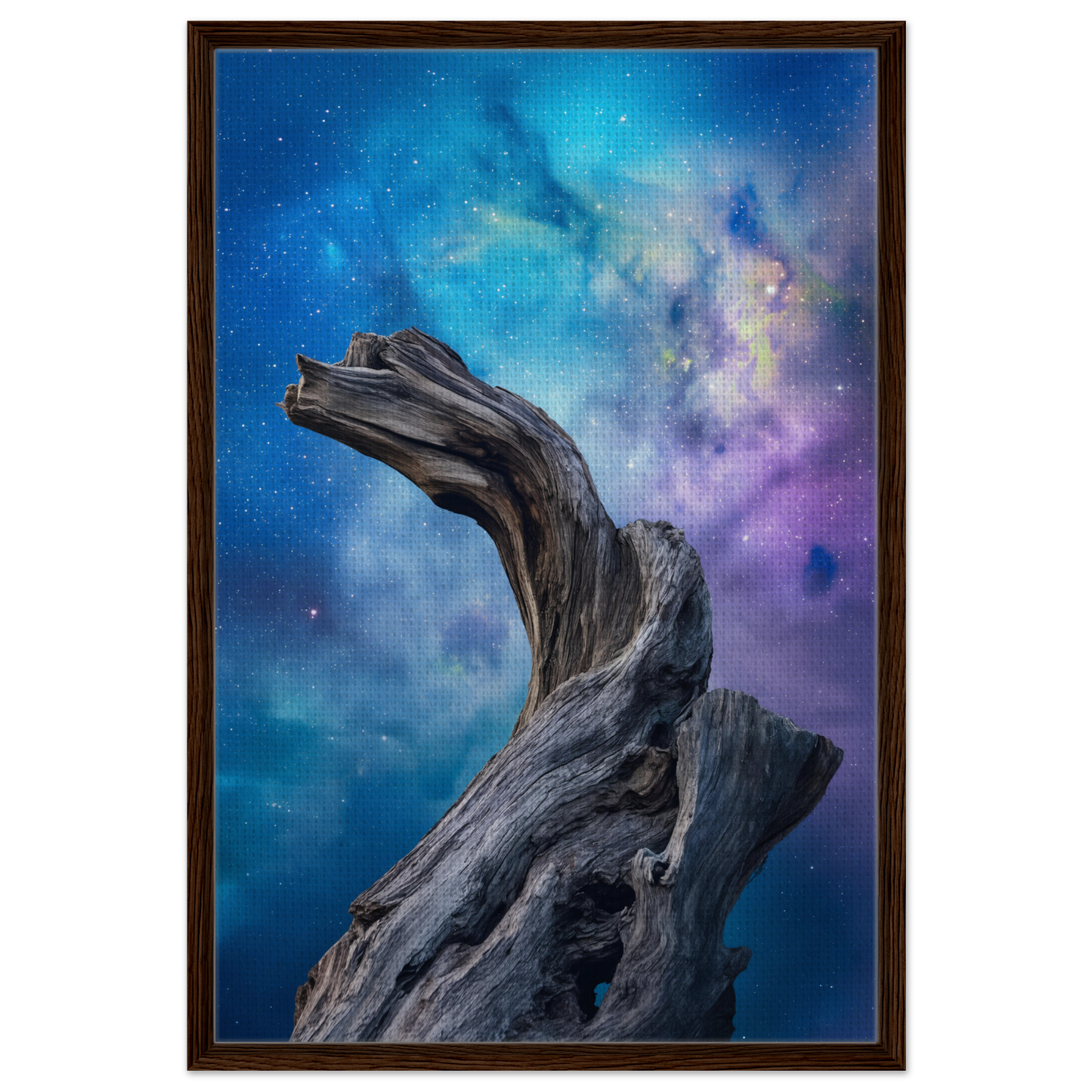 Weathered driftwood with gnarled textures in Celestial Drift Saga framed canvas print