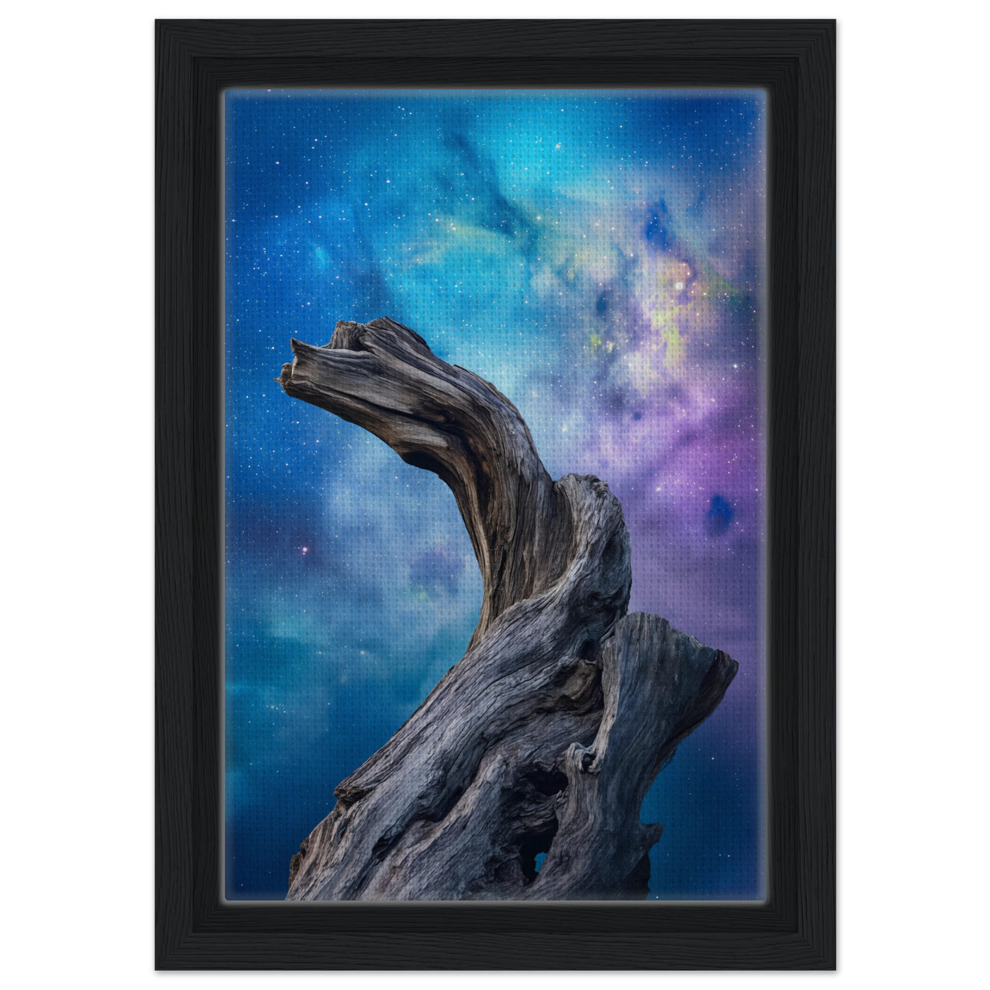 Twisted driftwood against a cosmic backdrop in Celestial Drift Saga room decor